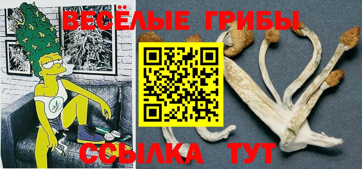 Галлюциногенные грибы Magic Shrooms Избербаш